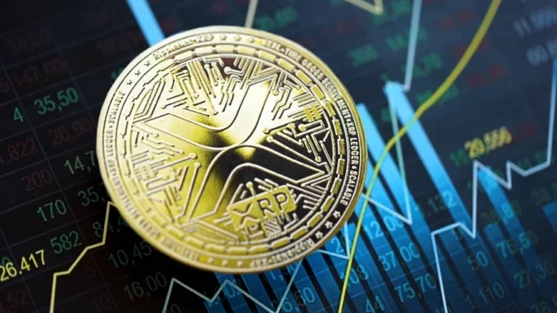 XRP millionaires buy over 1.5 billion tokens in 6 months