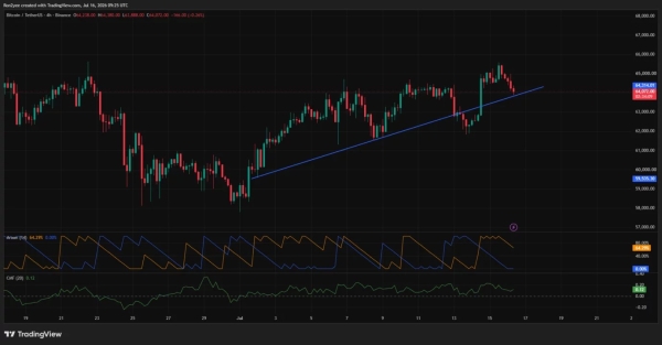 Bitcoin price loses momentum below K as whales and long holders take profits
