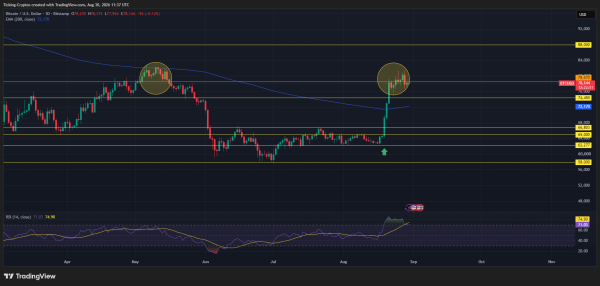 Bitcoin Price Correction: Why BTC Stalled Dead at ,000 Again