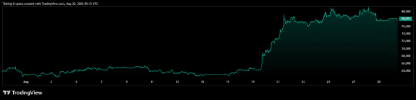 Bitcoin Price Correction: Why BTC Stalled Dead at ,000 Again