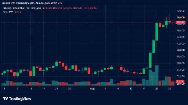 Bitcoin Price Slams Into $79K Wall as Rally Momentum Starts Fading