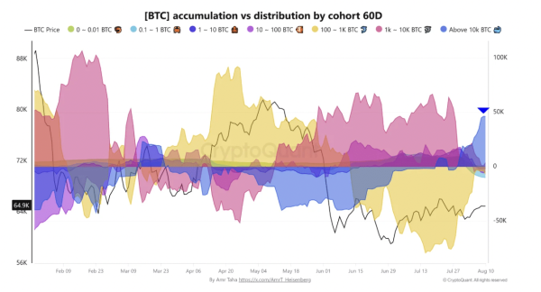 Bitcoin whales add 46,420 BTC as LTH supply falls – Can K hold?