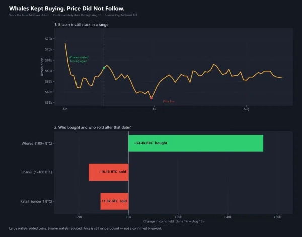 Bitcoin whales add 54,000 BTC, but price remains trapped below K