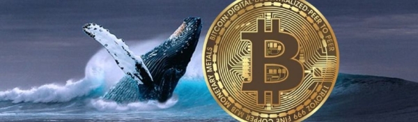 Bitcoin Whales Buy 38,000 BTC: Will the K Cost Basis Spark the Next Rally?