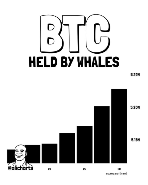 Bitcoin whales snap  billion in a week; What’s next for BTC?