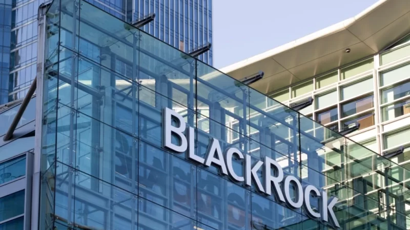 BlackRock buys up this crypto amid its Bitcoin sell-off