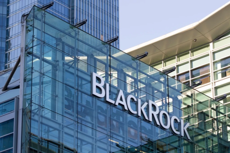 BlackRock buys up this crypto amid its Bitcoin sell-off