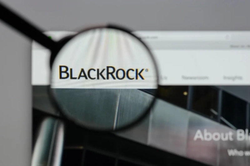 BlackRock ends the week dumping millions worth of these 2 cryptocurrencies