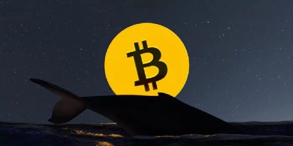 BTCs of a Bitcoin Whale That Has Been Dormant for 15 Years Have Started Moving