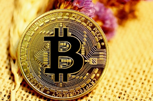 On-Chain Data for Bitcoin and Altcoins Has Been Updated: Here’s the Latest Information You Need to Know