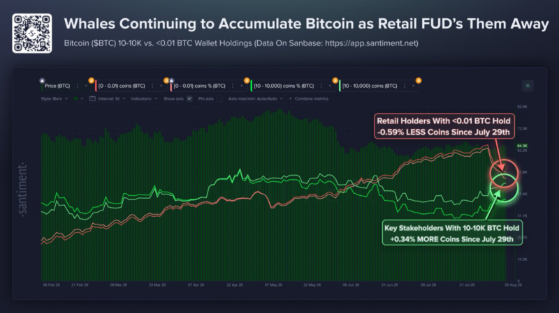 On-chain data hints at what’s next for Bitcoin price