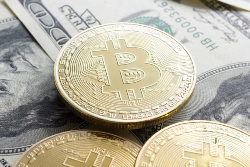 Over 11,000 Bitcoin millionaires added in August 2026