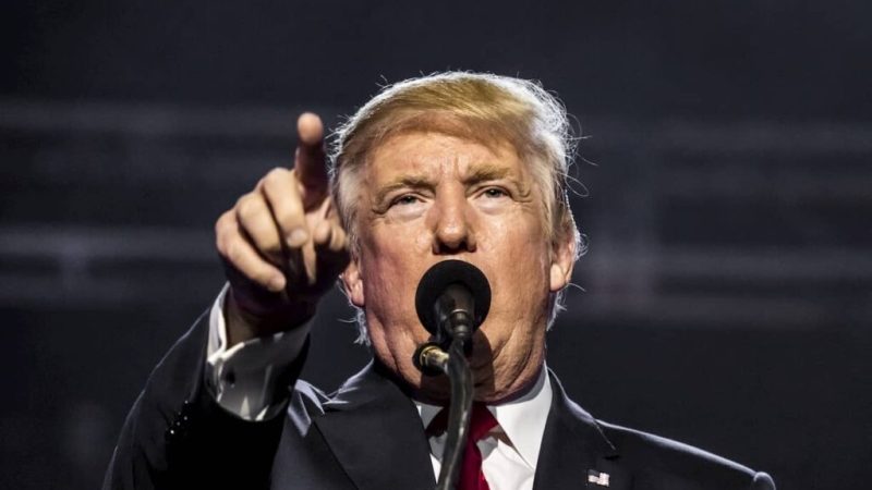 Trump-linked meme coin collapses after team rug pulls $330,000