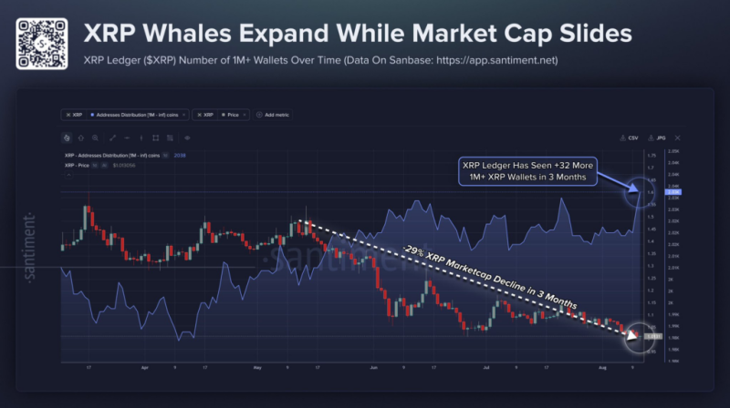XRP Ledger whales holding more than 1 million tokens hit a multi-month peak