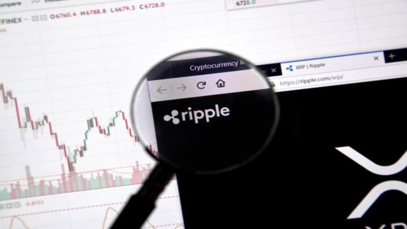 XRP transactions nosedive almost 50% in 5 days
