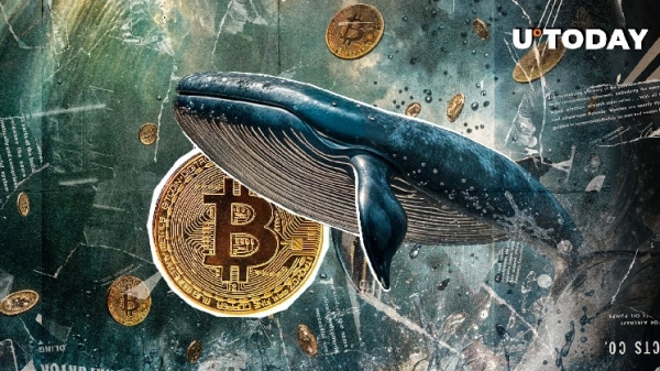 15-Year-Old Bitcoin Wallet Suddenly Awakens
