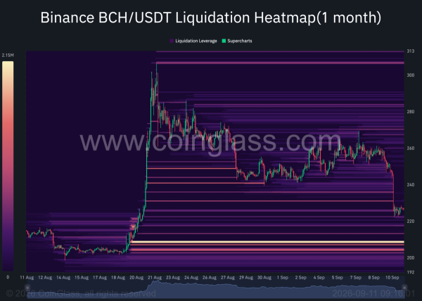 Analyzing Bitcoin Cash’s 10% drop: What’s next for BCH whales?