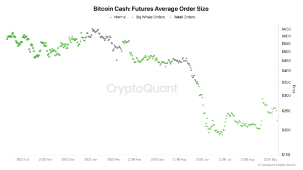 Analyzing Bitcoin Cash’s 10% drop: What’s next for BCH whales?