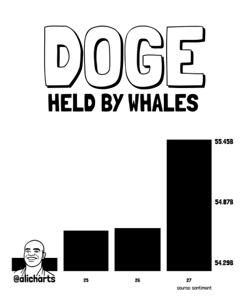 Dogecoin price prediction after whales splash over  0 million on DOGE in hours