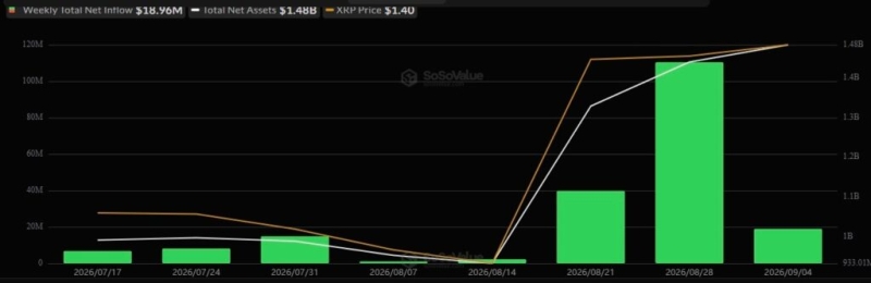 Expert sets key XRP price level to watch