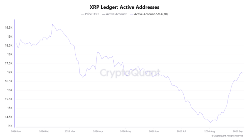 XRP Ledger crosses  billion in stablecoin market cap