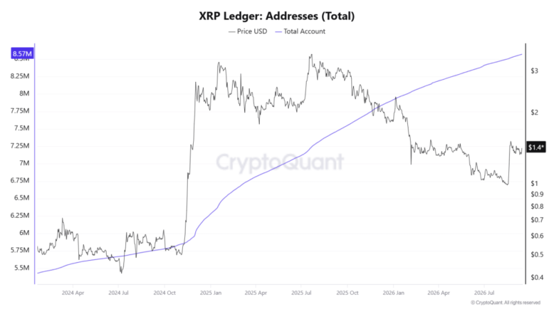 XRP Ledger shatters all-time high in total addresses: here's why it matters