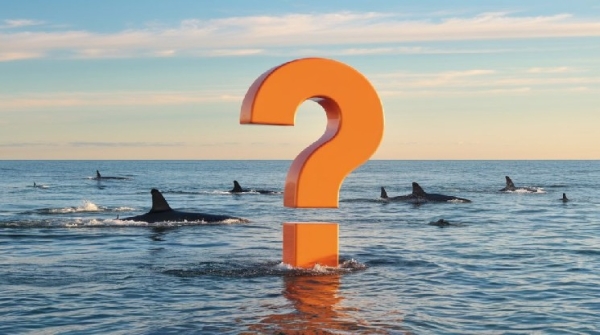 Big Showdown in Bitcoin and Altcoins! Whales Opened Both Long and Short Positions Simultaneously! Here Are the Altcoins They Traded…