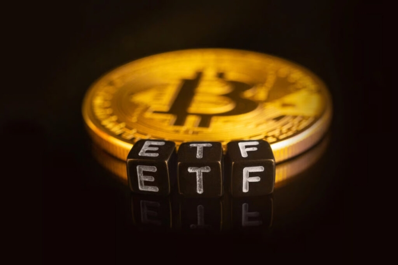 Bitcoin ETFs turn 1,000 days old; Here’s the top holders