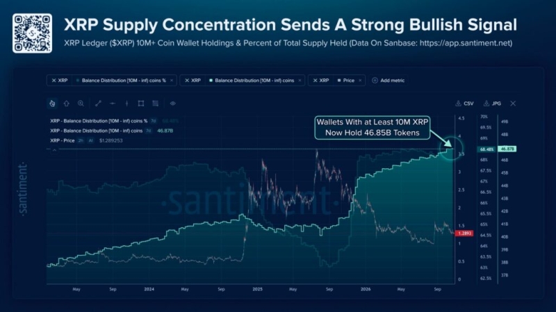 Monster XRP whale dominance hits highest level since 2022