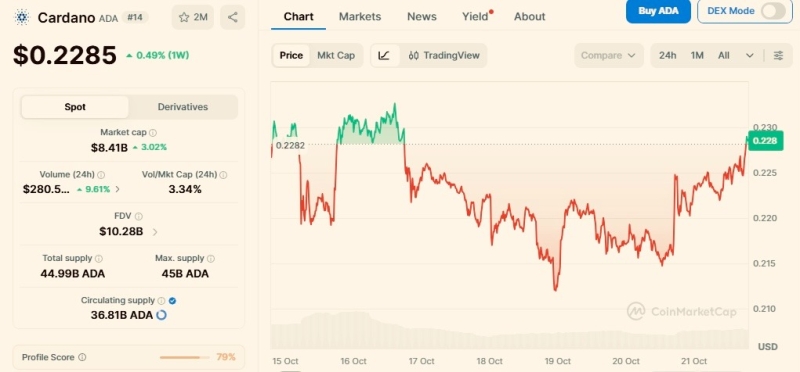 Trading expert hints manipulation for Bitcoin, XRP, and Cardano