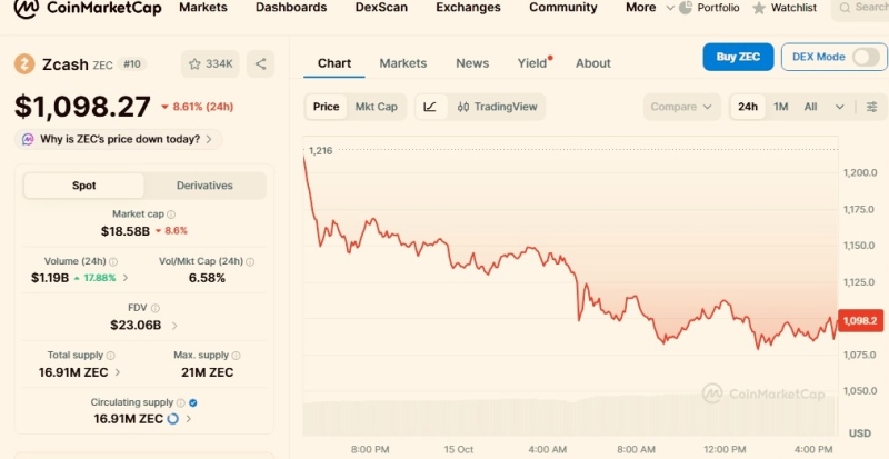 Why Zcash (ZEC) suffered among the worst 24-hour crash in top 100 cryptocurrencies